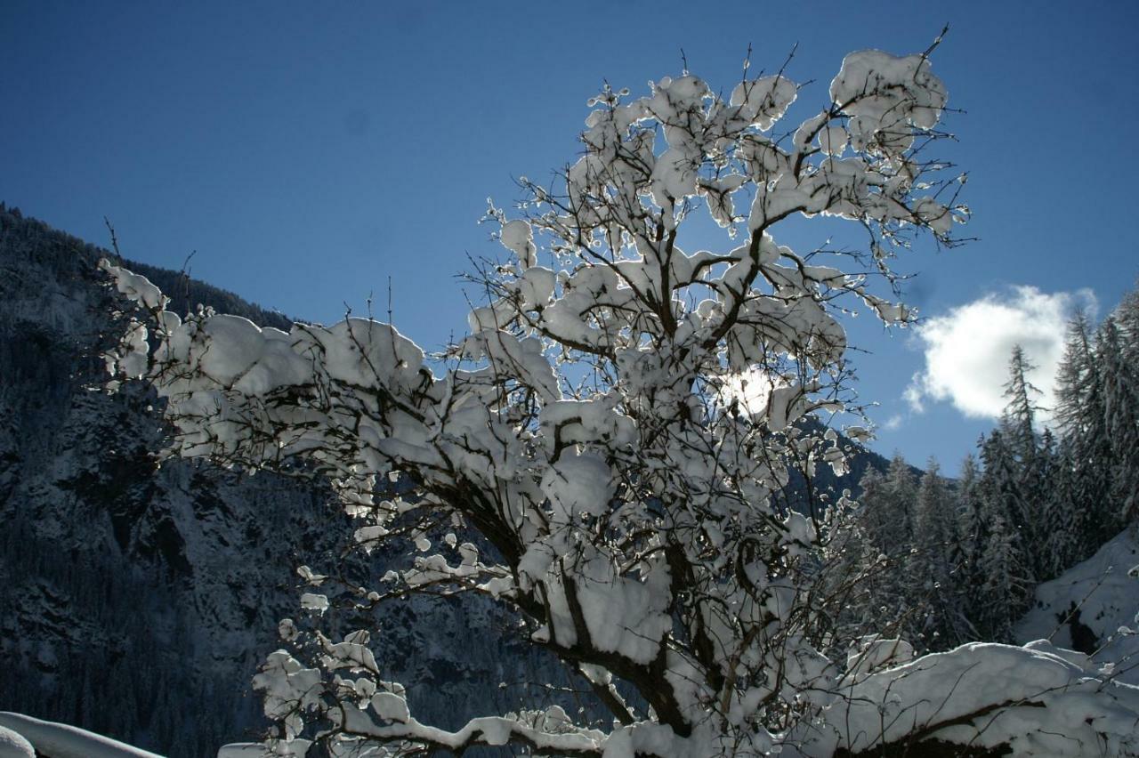 Des Alpes 2 Canazei Exterior foto